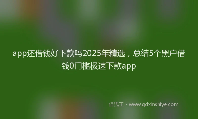 app还借钱好下款吗2025年精选，总结5个黑户借钱0门槛极速下款app