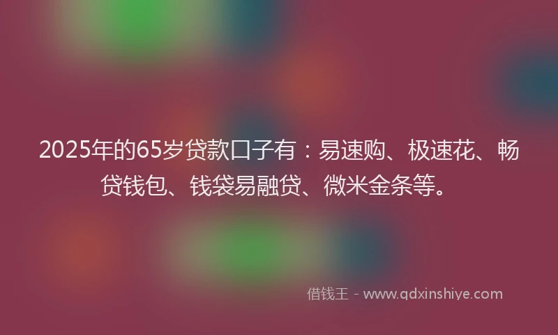 2025年的65岁贷款口子有：易速购、极速花、畅贷钱包、钱袋易融贷、微米金条等。