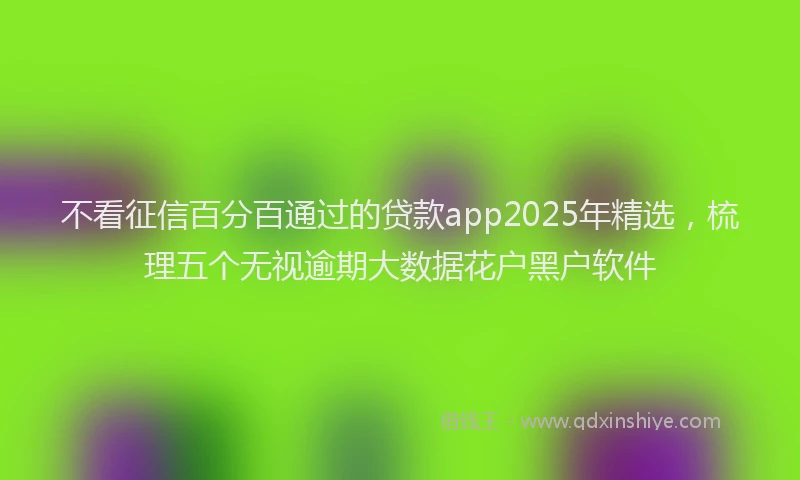 不看征信百分百通过的贷款app2025年精选，梳理五个无视逾期大数据花户黑户软件