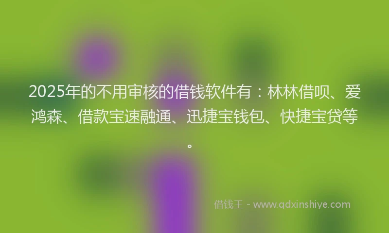 2025年的不用审核的借钱软件有：林林借呗、爱鸿森、借款宝速融通、迅捷宝钱包、快捷宝贷等。