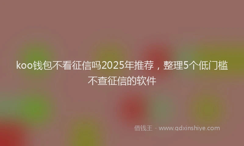 koo钱包不看征信吗2025年推荐，整理5个低门槛不查征信的软件
