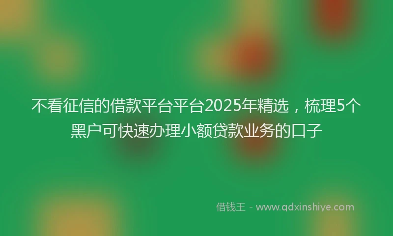 不看征信的借款平台平台2025年精选，梳理5个黑户可快速办理小额贷款业务的口子