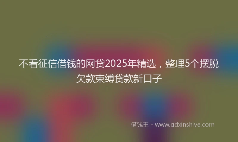 不看征信借钱的网贷2025年精选，整理5个摆脱欠款束缚贷款新口子