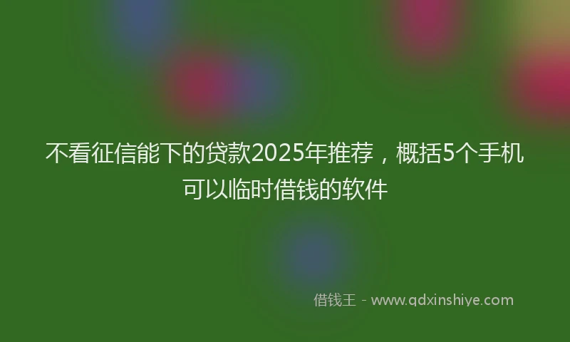 不看征信能下的贷款2025年推荐，概括5个手机可以临时借钱的软件
