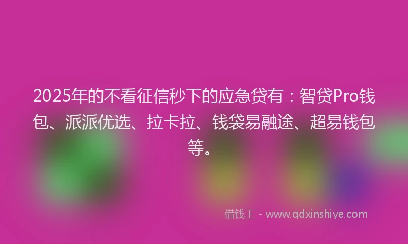 2025年的不看征信秒下的应急贷有：智贷Pro钱包、派派优选、拉卡拉、钱袋易融途、超易钱包等。