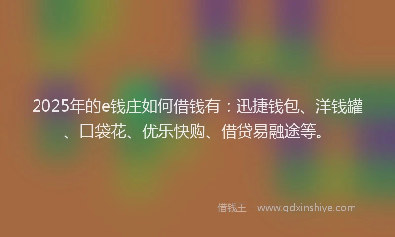 2025年的e钱庄如何借钱有：迅捷钱包、洋钱罐、口袋花、优乐快购、借贷易融途等。