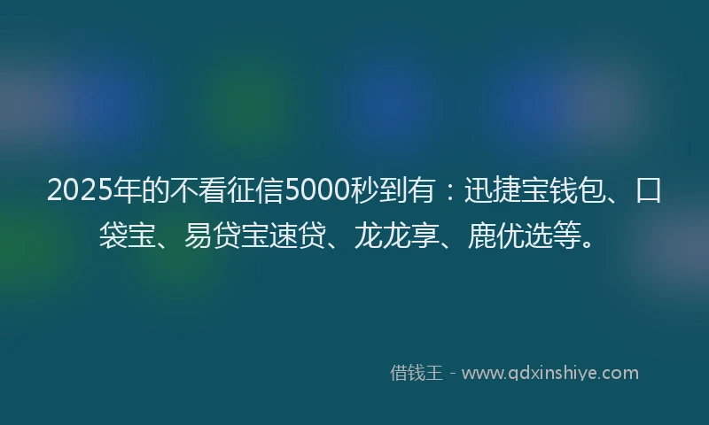 2025年的不看征信5000秒到有：迅捷宝钱包、口袋宝、易贷宝速贷、龙龙享、鹿优选等。