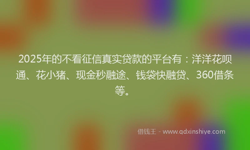 2025年的不看征信真实贷款的平台有：洋洋花呗通、花小猪、现金秒融途、钱袋快融贷、360借条等。