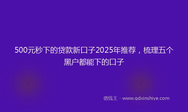 500元秒下的贷款新口子2025年推荐，梳理五个黑户都能下的口子