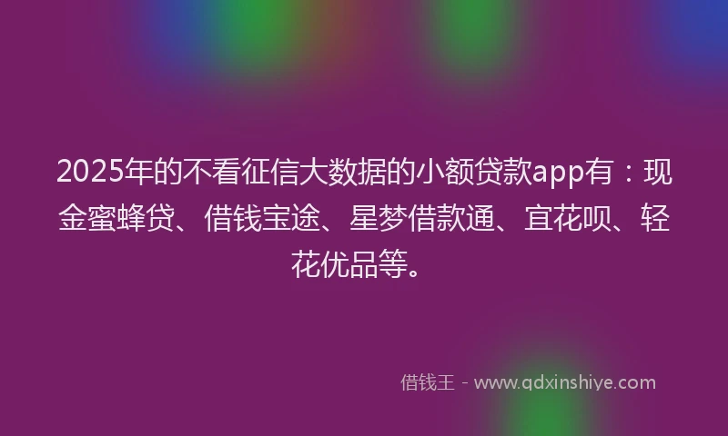 2025年的不看征信大数据的小额贷款app有：现金蜜蜂贷、借钱宝途、星梦借款通、宜花呗、轻花优品等。
