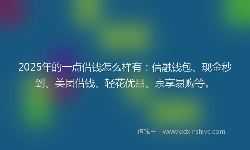 2025年的一点借钱怎么样有：信融钱包、现金秒到、美团借钱、轻花优品、京享易购等。