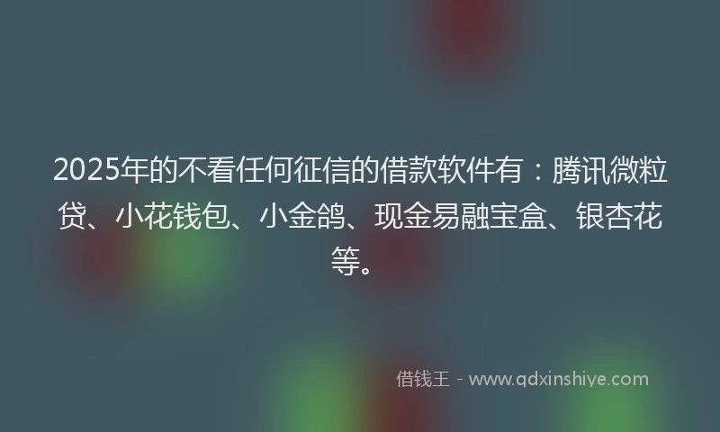 2025年的不看任何征信的借款软件有：腾讯微粒贷、小花钱包、小金鸽、现金易融宝盒、银杏花等。
