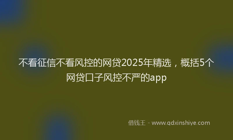 不看征信不看风控的网贷2025年精选，概括5个网贷口子风控不严的app