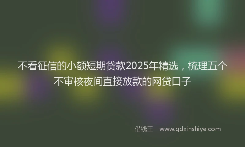 不看征信的小额短期贷款2025年精选，梳理五个不审核夜间直接放款的网贷口子