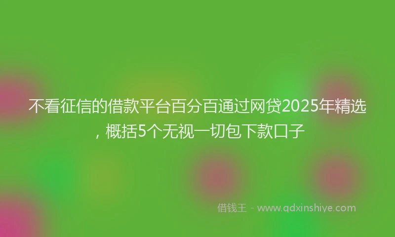 不看征信的借款平台百分百通过网贷2025年精选，概括5个无视一切包下款口子