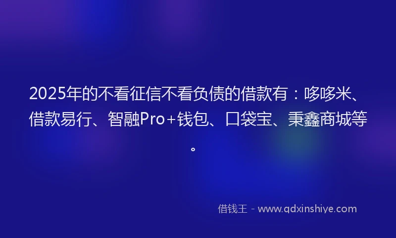2025年的不看征信不看负债的借款有：哆哆米、借款易行、智融Pro+钱包、口袋宝、秉鑫商城等。