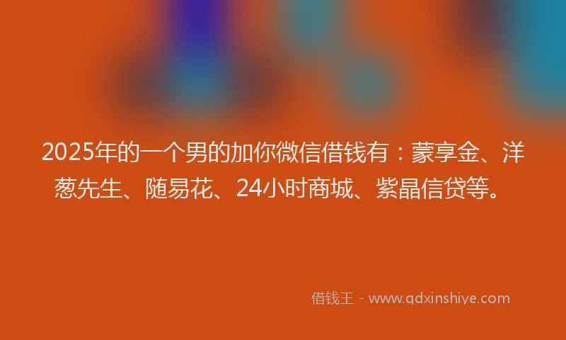 2025年的一个男的加你微信借钱有：蒙享金、洋葱先生、随易花、24小时商城、紫晶信贷等。