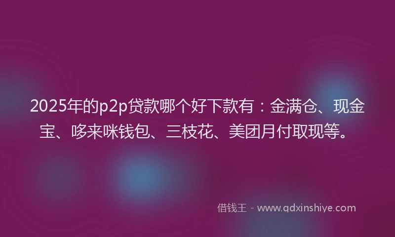 2025年的p2p贷款哪个好下款有：金满仓、现金宝、哆来咪钱包、三枝花、美团月付取现等。