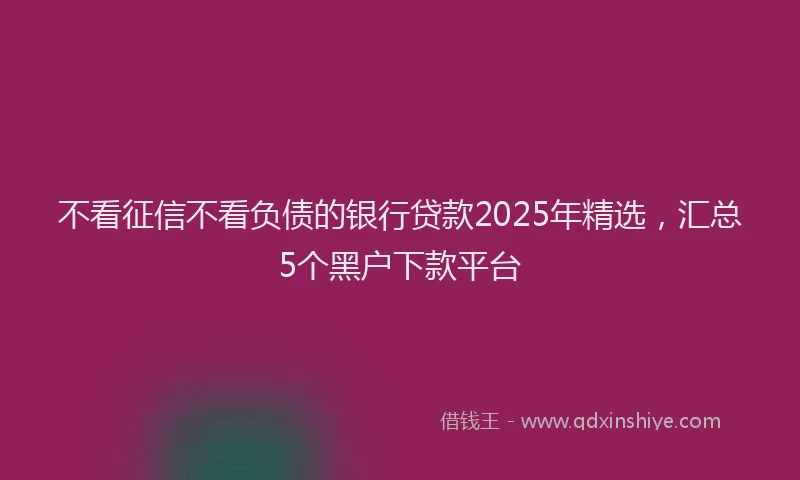 不看征信不看负债的银行贷款2025年精选，汇总5个黑户下款平台