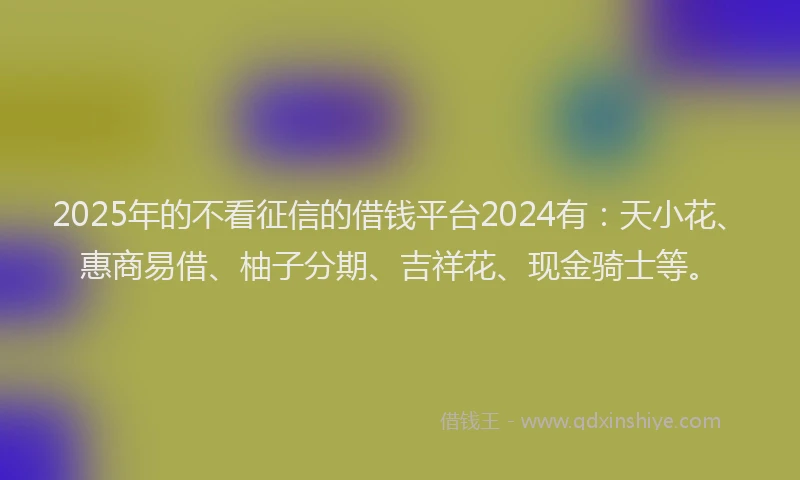 2025年的不看征信的借钱平台2024有：天小花、惠商易借、柚子分期、吉祥花、现金骑士等。