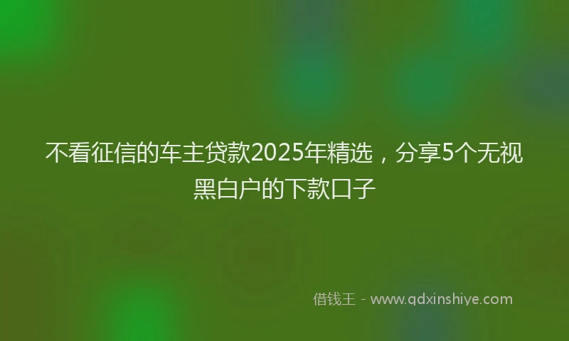 不看征信的车主贷款2025年精选，分享5个无视黑白户的下款口子