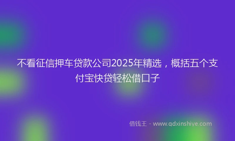 不看征信押车贷款公司2025年精选，概括五个支付宝快贷轻松借口子
