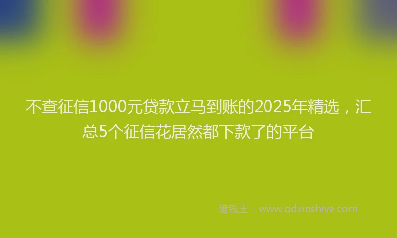 不查征信1000元贷款立马到账的2025年精选，汇总5个征信花居然都下款了的平台