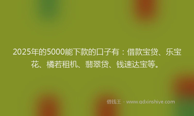 2025年的5000能下款的口子有：借款宝贷、乐宝花、橘若租机、翡翠贷、钱速达宝等。