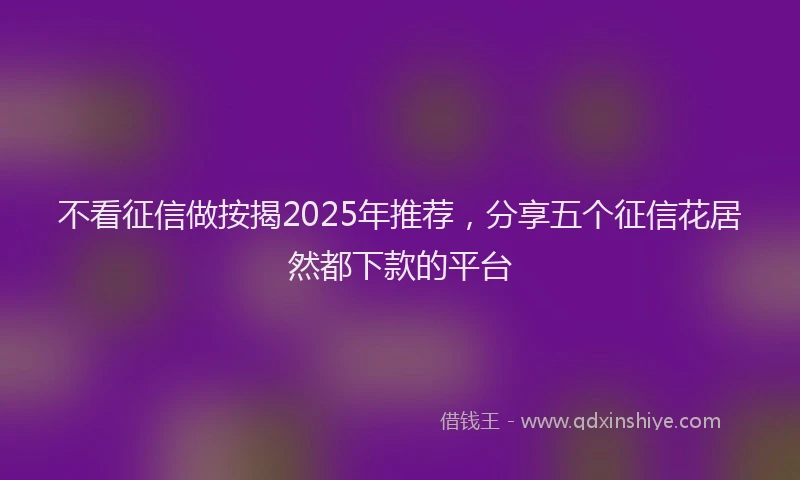 不看征信做按揭2025年推荐，分享五个征信花居然都下款的平台