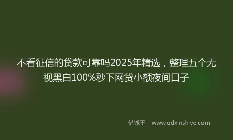 不看征信的贷款可靠吗2025年精选，整理五个无视黑白100%秒下网贷小额夜间口子