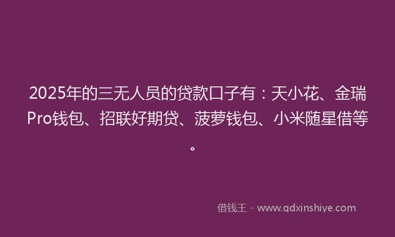 2025年的三无人员的贷款口子有：天小花、金瑞Pro钱包、招联好期贷、菠萝钱包、小米随星借等。