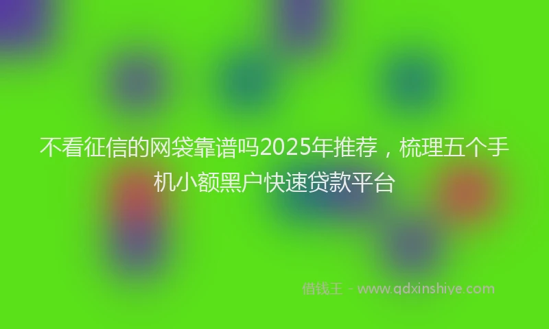 不看征信的网袋靠谱吗2025年推荐，梳理五个手机小额黑户快速贷款平台
