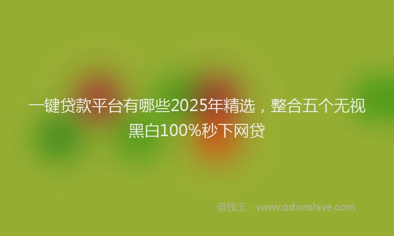 一键贷款平台有哪些2025年精选，整合五个无视黑白100%秒下网贷