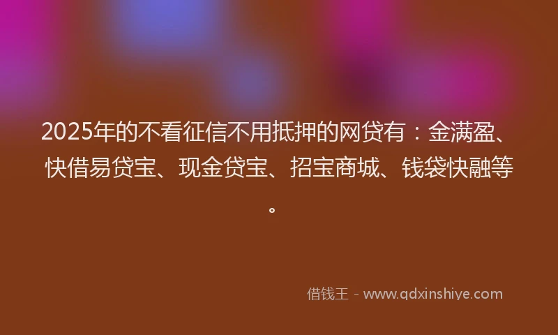 2025年的不看征信不用抵押的网贷有：金满盈、快借易贷宝、现金贷宝、招宝商城、钱袋快融等。