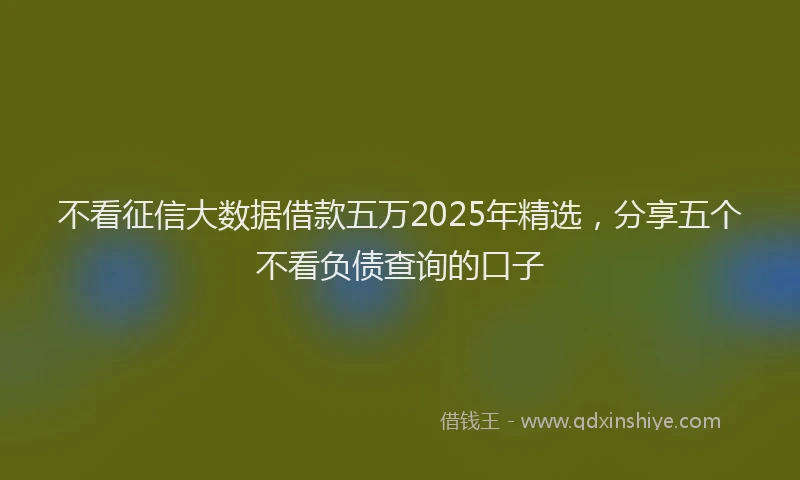 不看征信大数据借款五万2025年精选，分享五个不看负债查询的口子