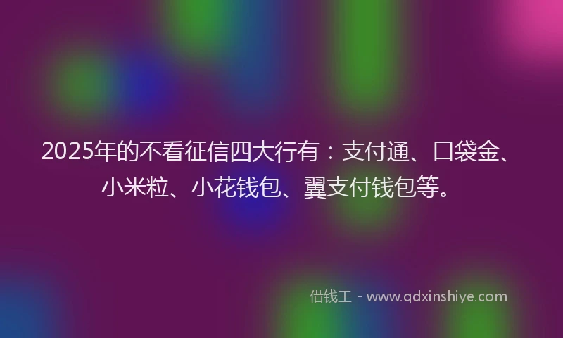 2025年的不看征信四大行有：支付通、口袋金、小米粒、小花钱包、翼支付钱包等。
