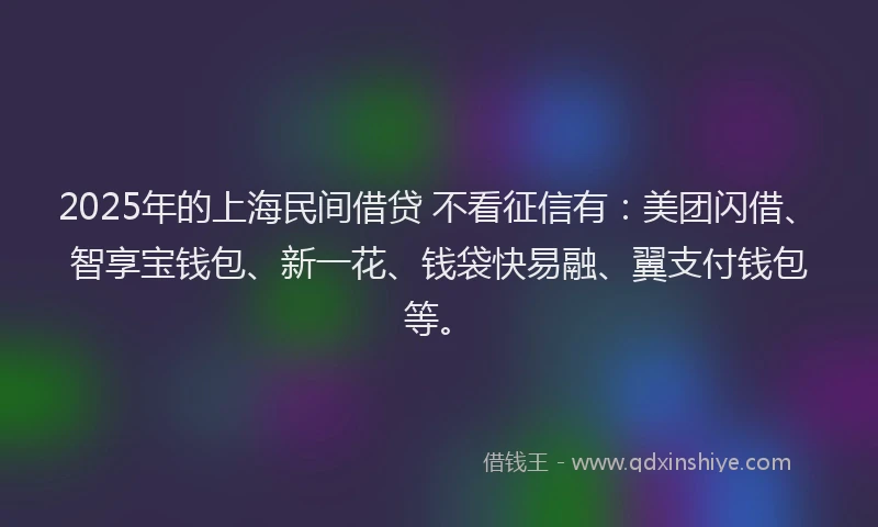 2025年的上海民间借贷 不看征信有：美团闪借、智享宝钱包、新一花、钱袋快易融、翼支付钱包等。
