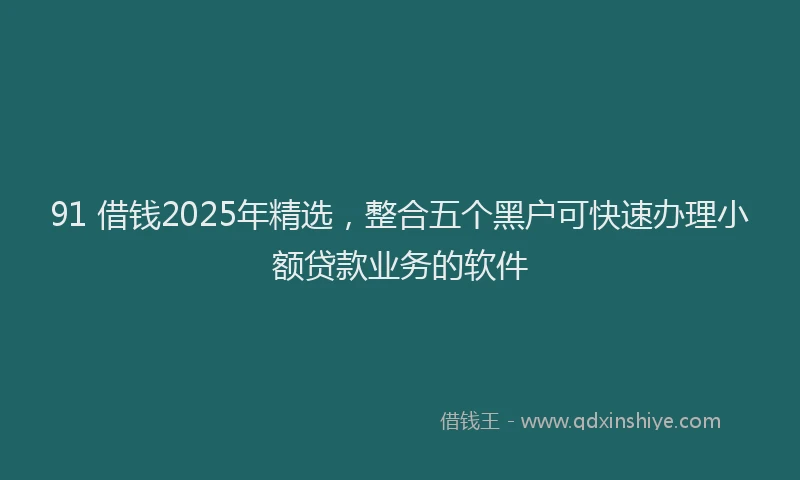91 借钱2025年精选，整合五个黑户可快速办理小额贷款业务的软件