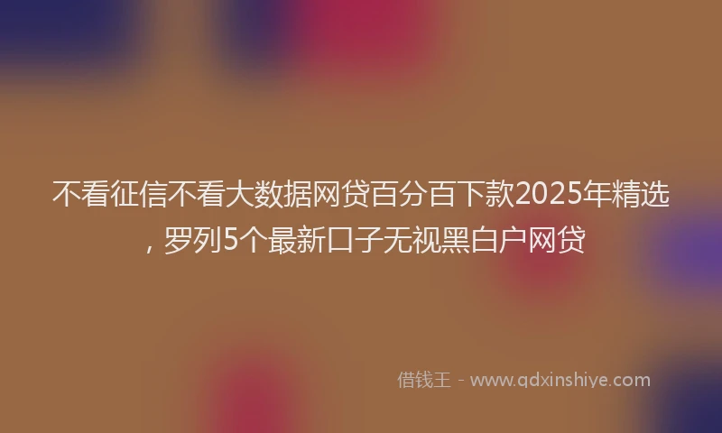 不看征信不看大数据网贷百分百下款2025年精选，罗列5个最新口子无视黑白户网贷