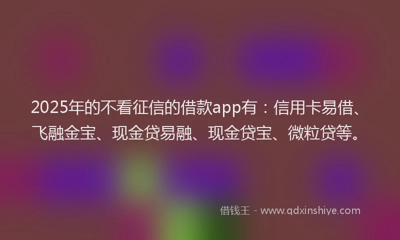 2025年的不看征信的借款app有：信用卡易借、飞融金宝、现金贷易融、现金贷宝、微粒贷等。