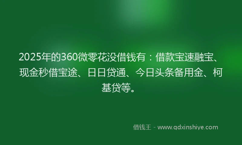 2025年的360微零花没借钱有：借款宝速融宝、现金秒借宝途、日日贷通、今日头条备用金、柯基贷等。