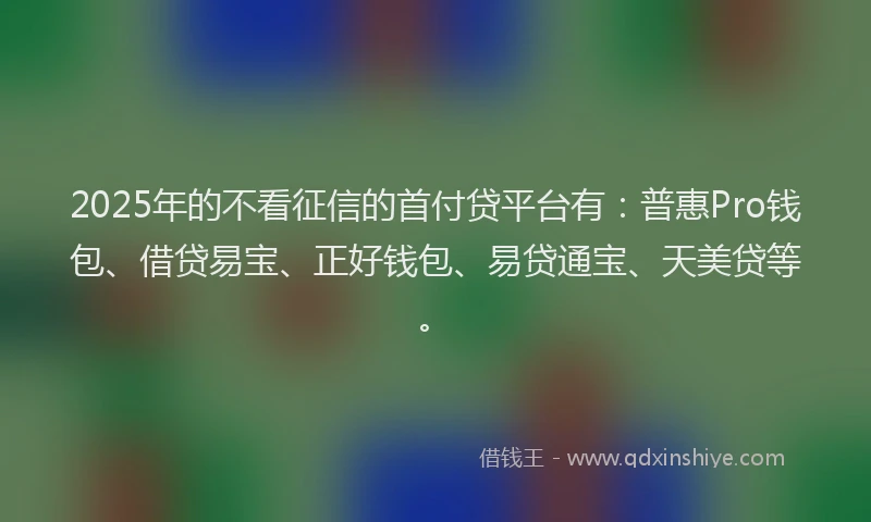 2025年的不看征信的首付贷平台有：普惠Pro钱包、借贷易宝、正好钱包、易贷通宝、天美贷等。