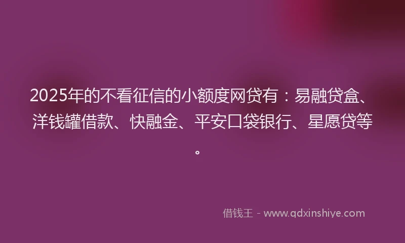 2025年的不看征信的小额度网贷有：易融贷盒、洋钱罐借款、快融金、平安口袋银行、星愿贷等。
