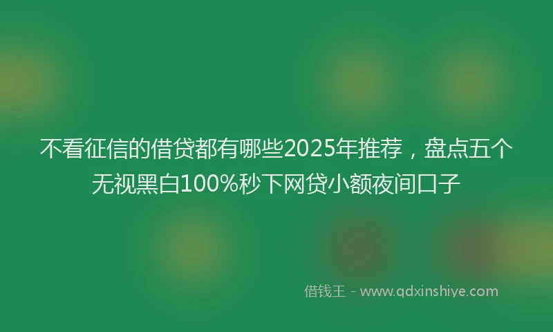 不看征信的借贷都有哪些2025年推荐，盘点五个无视黑白100%秒下网贷小额夜间口子