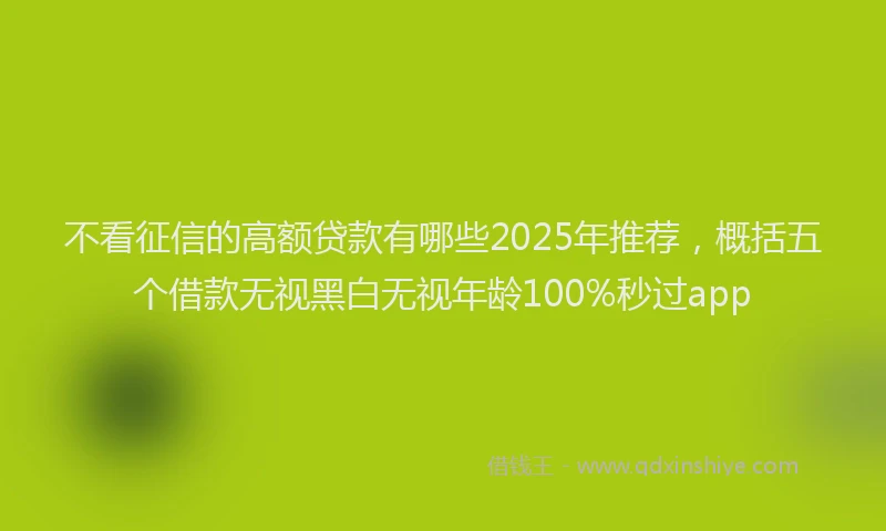 不看征信的高额贷款有哪些2025年推荐，概括五个借款无视黑白无视年龄100%秒过app