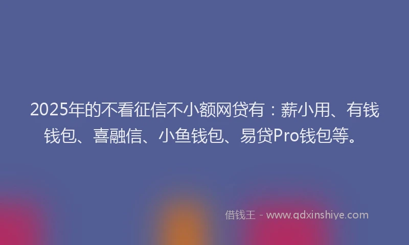 2025年的不看征信不小额网贷有：薪小用、有钱钱包、喜融信、小鱼钱包、易贷Pro钱包等。