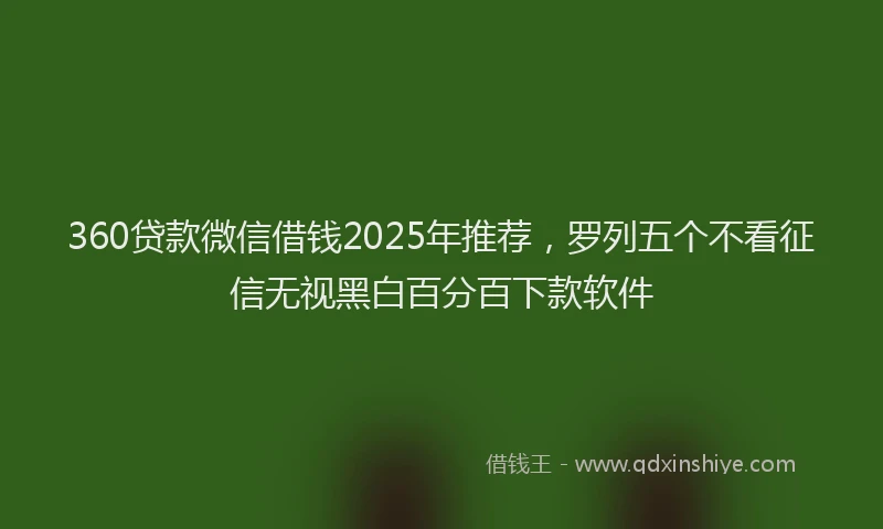 360贷款微信借钱2025年推荐，罗列五个不看征信无视黑白百分百下款软件