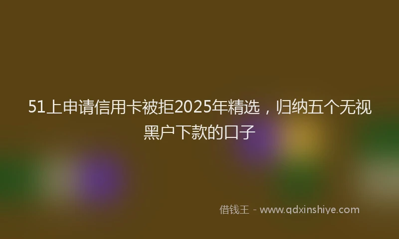 51上申请信用卡被拒2025年精选，归纳五个无视黑户下款的口子