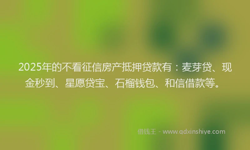 2025年的不看征信房产抵押贷款有：麦芽贷、现金秒到、星愿贷宝、石榴钱包、和信借款等。
