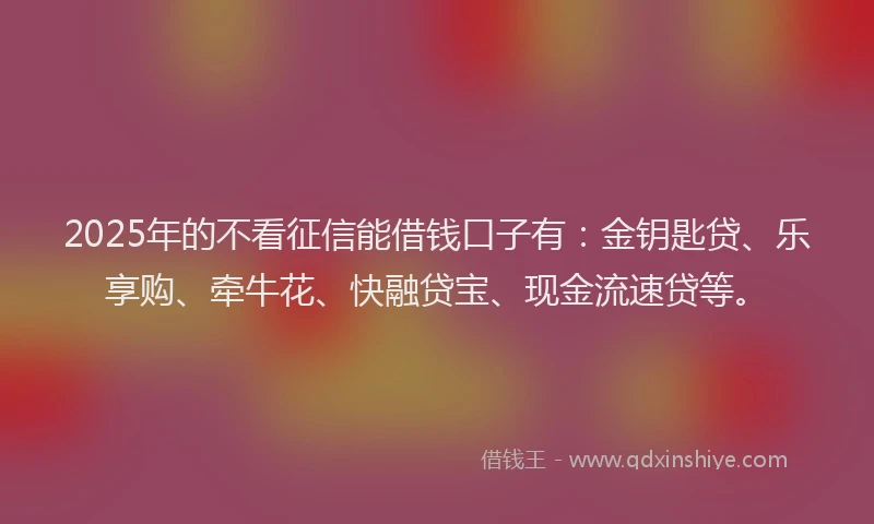 2025年的不看征信能借钱口子有：金钥匙贷、乐享购、牵牛花、快融贷宝、现金流速贷等。